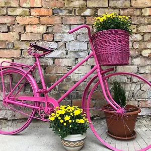 https://frank-apartman.egerhotels.net